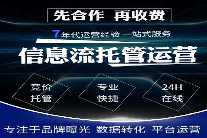 某公司网站sem托管项目纪实
