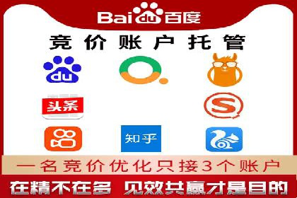 行业内的SEM竞价策略与效果对比案例
